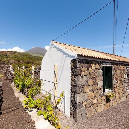 Villa Cantinho Do Sossego à Madalena  Extérieur photo