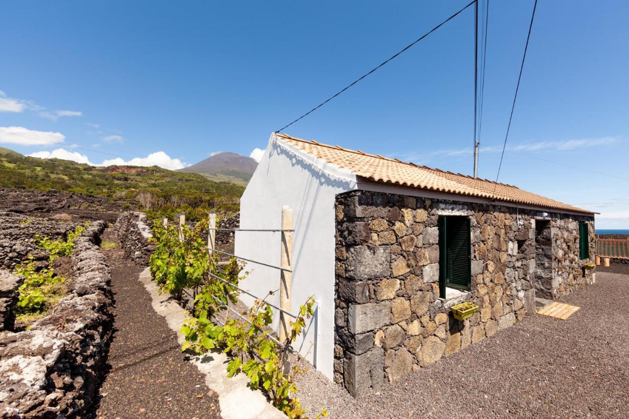 Villa Cantinho Do Sossego à Madalena  Extérieur photo