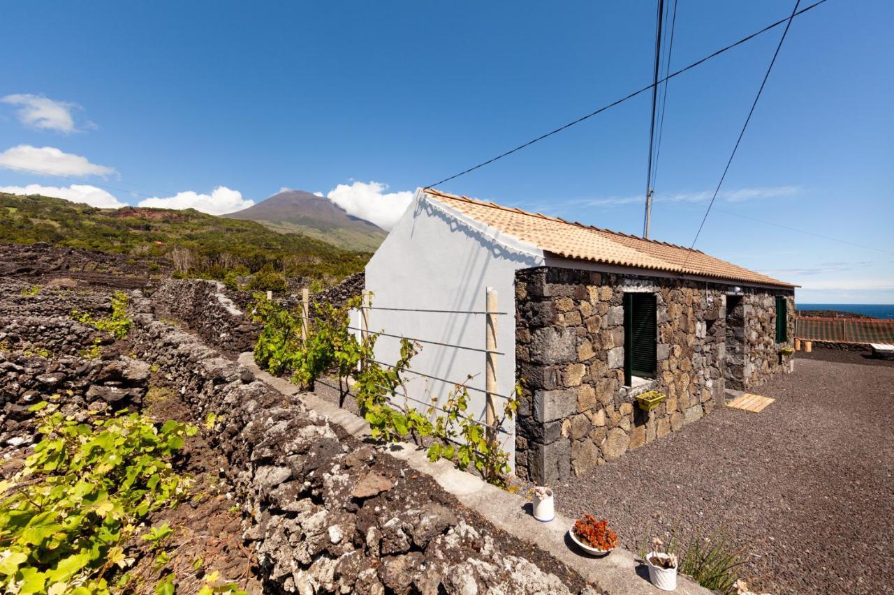 Villa Cantinho Do Sossego à Madalena  Extérieur photo