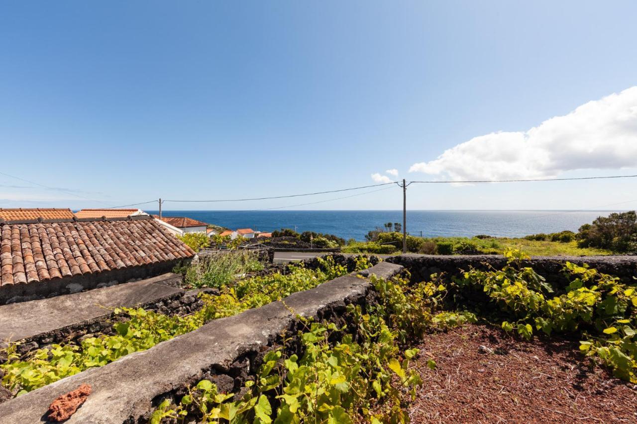 Villa Cantinho Do Sossego à Madalena  Extérieur photo